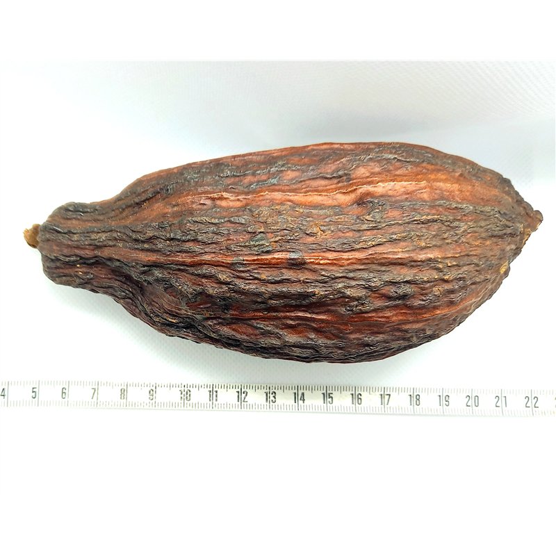 copy of Olivier de Java fruit