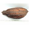 copy of Olivier de Java fruit