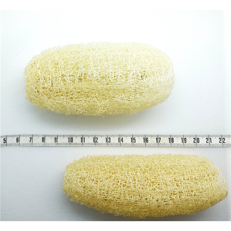 Eponge végétale moyenne