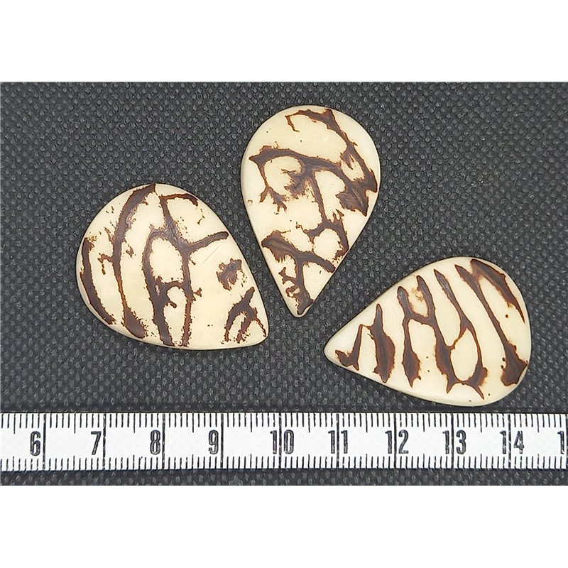 Tagua goutte grande marbré blanc