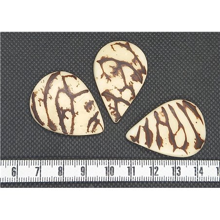 Tagua goutte grande marbré blanc