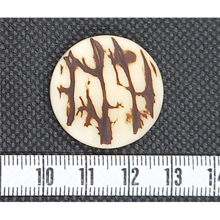 copy of Tagua carre 15mm blanc