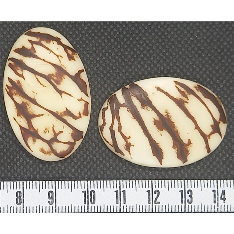 copy of Tagua carre 15mm blanc