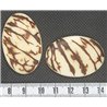copy of Tagua carre 15mm blanc