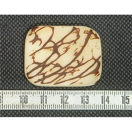 Tagua plaque grande marbrée blanc