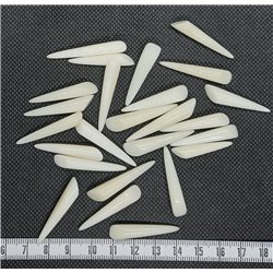 Tagua cône petit blanc 35mm