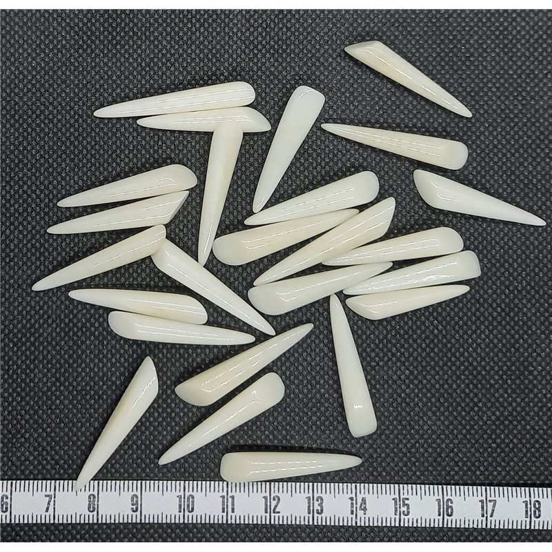 copy of Tagua perle 20mm blanc