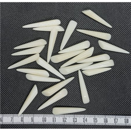 copy of Tagua perle 20mm blanc