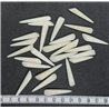 copy of Tagua perle 20mm blanc