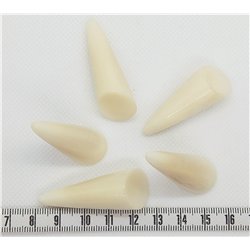 Tagua cone grand blanc