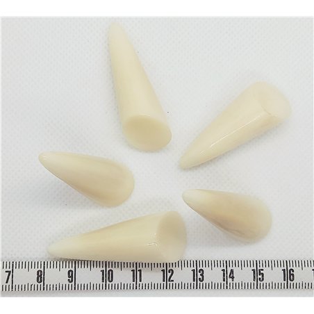 copy of Tagua perle 20mm blanc