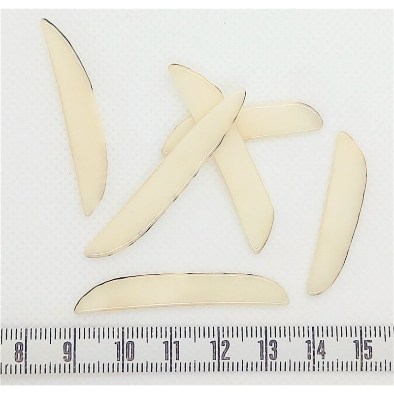 Tagua sabre   fin blanc