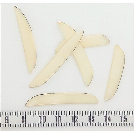 copy of Tagua fritelle blanc
