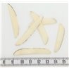 Tagua sabre   fin blanc