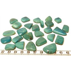 Tagua éclat bleu
