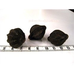 Mirobolan