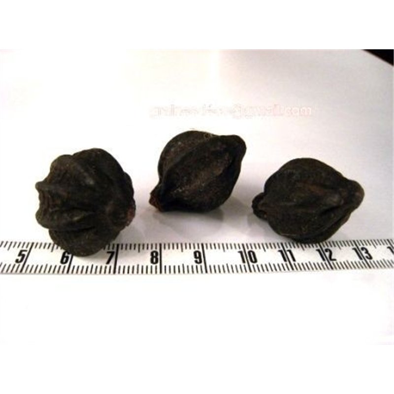 Mirobolan