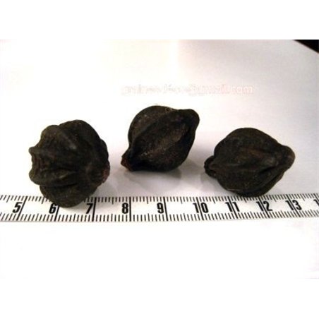 Mirobolan