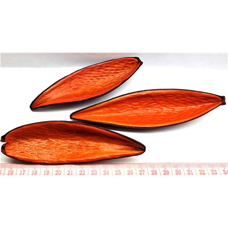Ti cannot d Amazonie orange