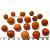 Canique orange