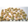 Boukoussou beige