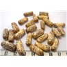 Palmier royal nain tube