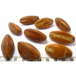 Pili
