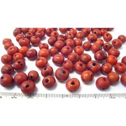 Acai marron