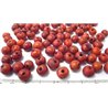Acai marron