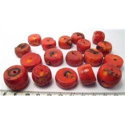 Corail rouge anneau grand