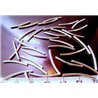 Intercalaire tube couleur argent 1 5x20mm