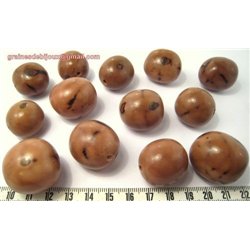 Buriti beige