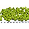 Acai vert pomme
