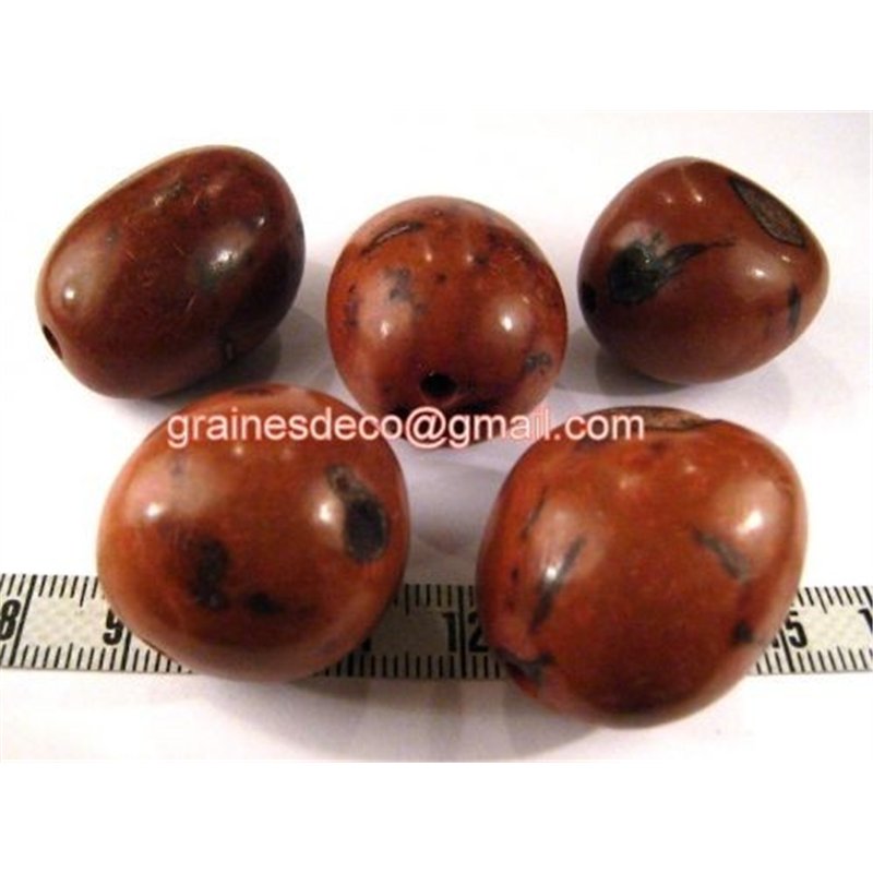 Buriti marron