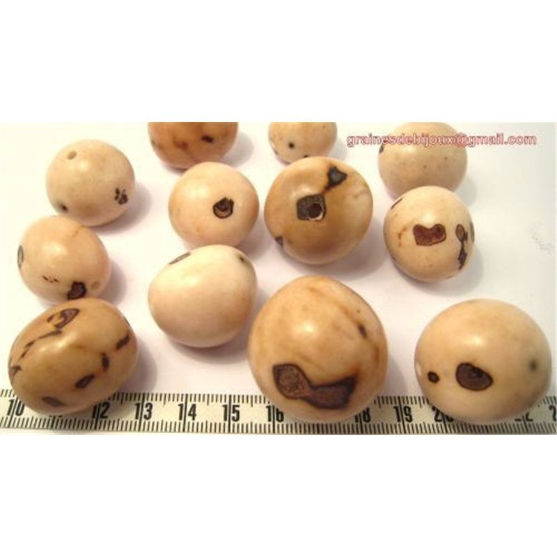 Buriti