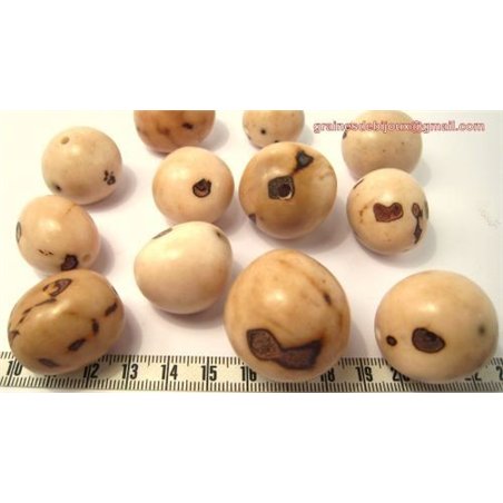 Buriti
