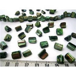 Nacre rocaille verte