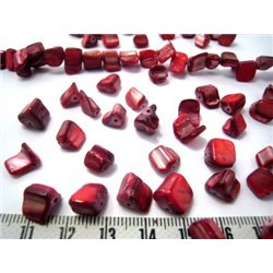 Nacre rocaille rouge