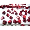 Nacre rocaille rouge