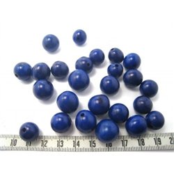 Paxi bleu roi
