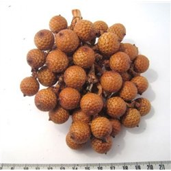 Rotin marron grappe