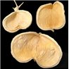 Oliver de Java fruit blanchi