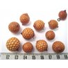 Rotin marron  petit