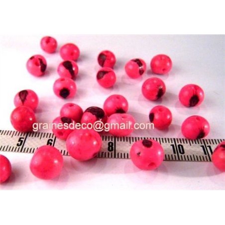 Acai rose