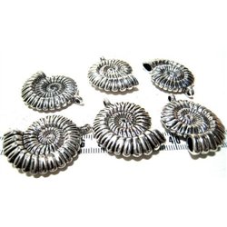 Pendentif coquillage