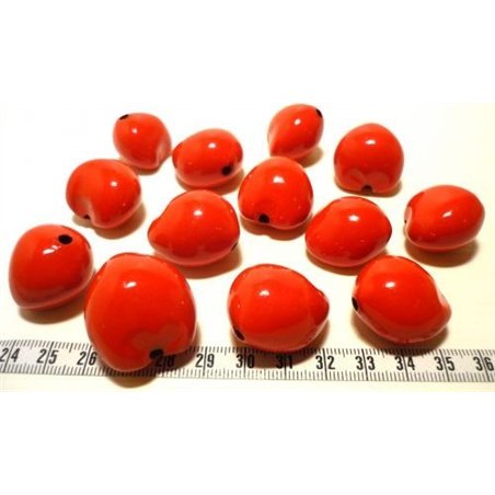 Noix de Bancoule rouge