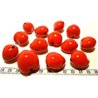 Noix de Bancoule rouge