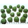 Noix de Bancoule vert olive