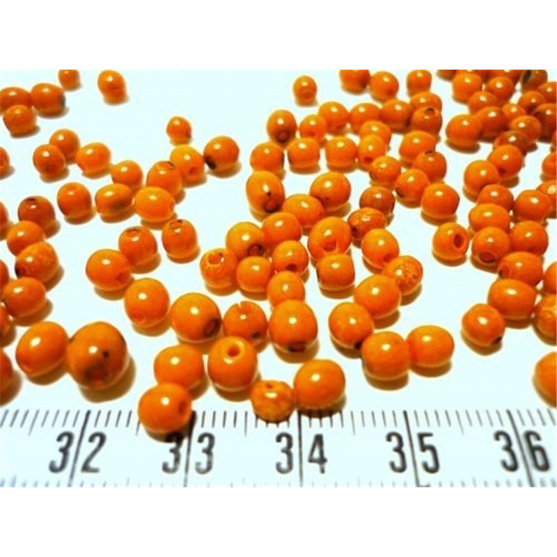 Toloman orange