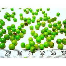Toloman vert pomme